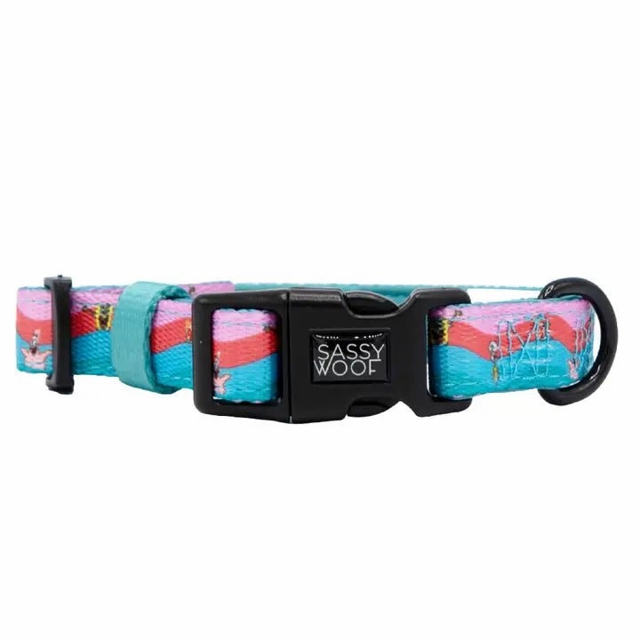 Nickelodeon Spongebob Squarepants and Friends Collar