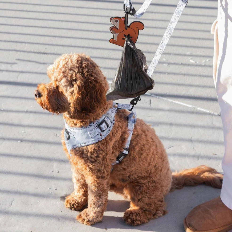 Nutty the Squirrel Poopy Loop Poop Bag Holder