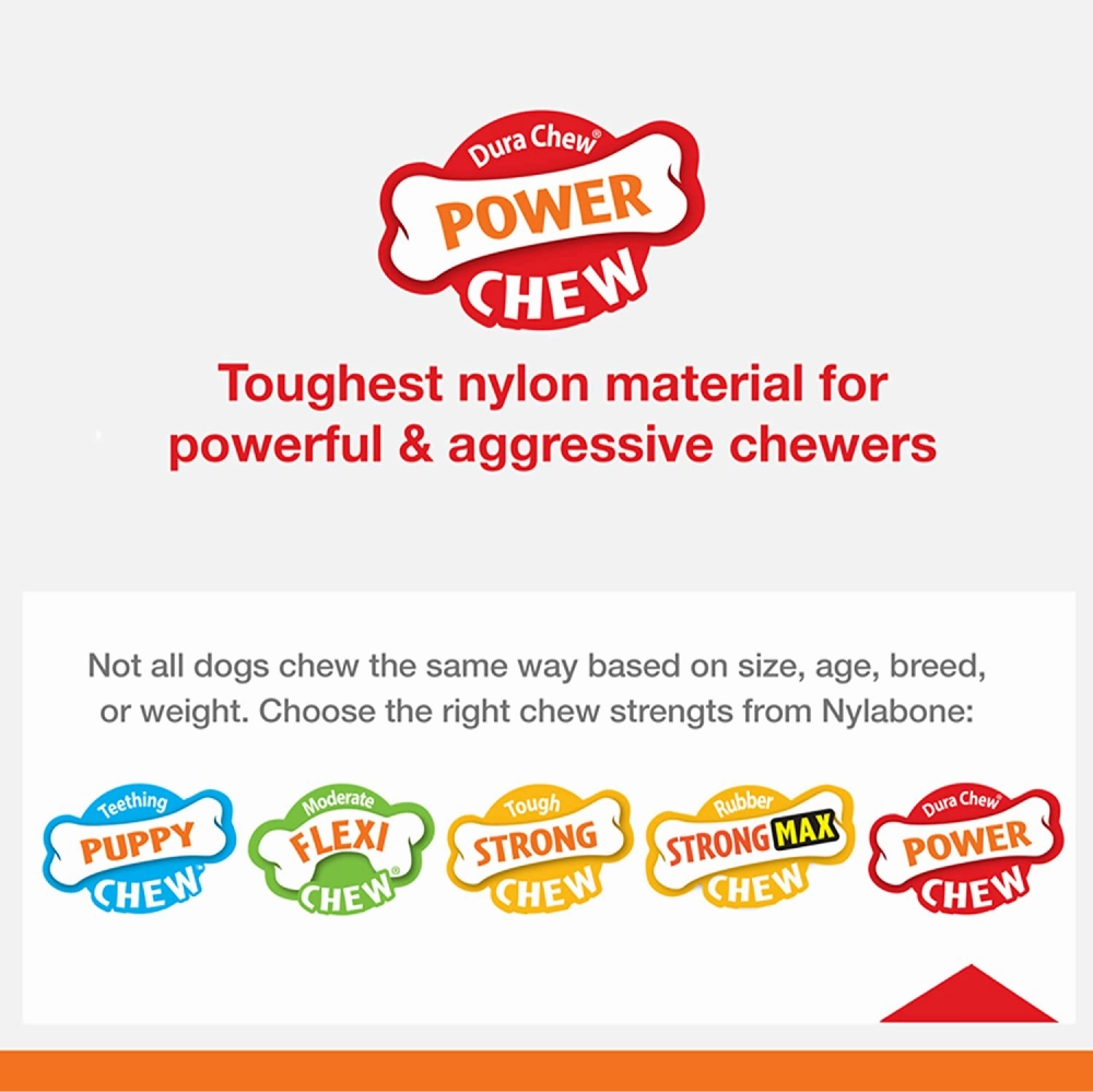 Nylabone Sliver Collection Turkey and Sweet Potato Flavoured Flexi Chew X Bone Toy for Dogs (Orange)