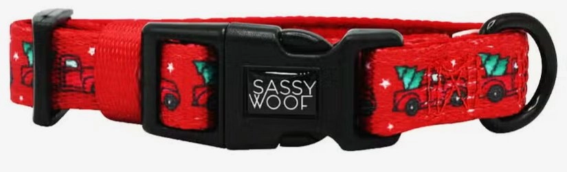 O Christmas Treat Collar