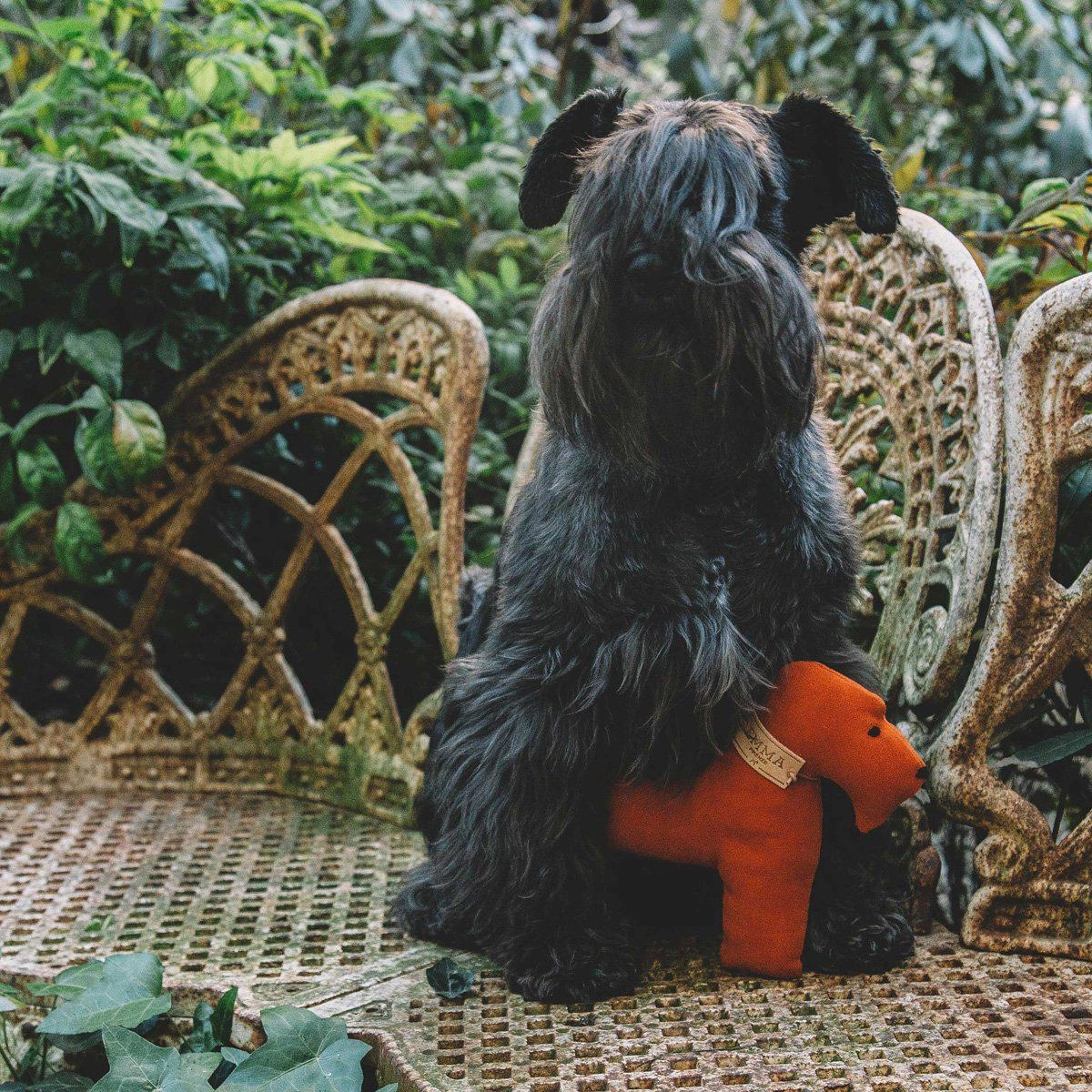 Orange And Faustina Dog Toy