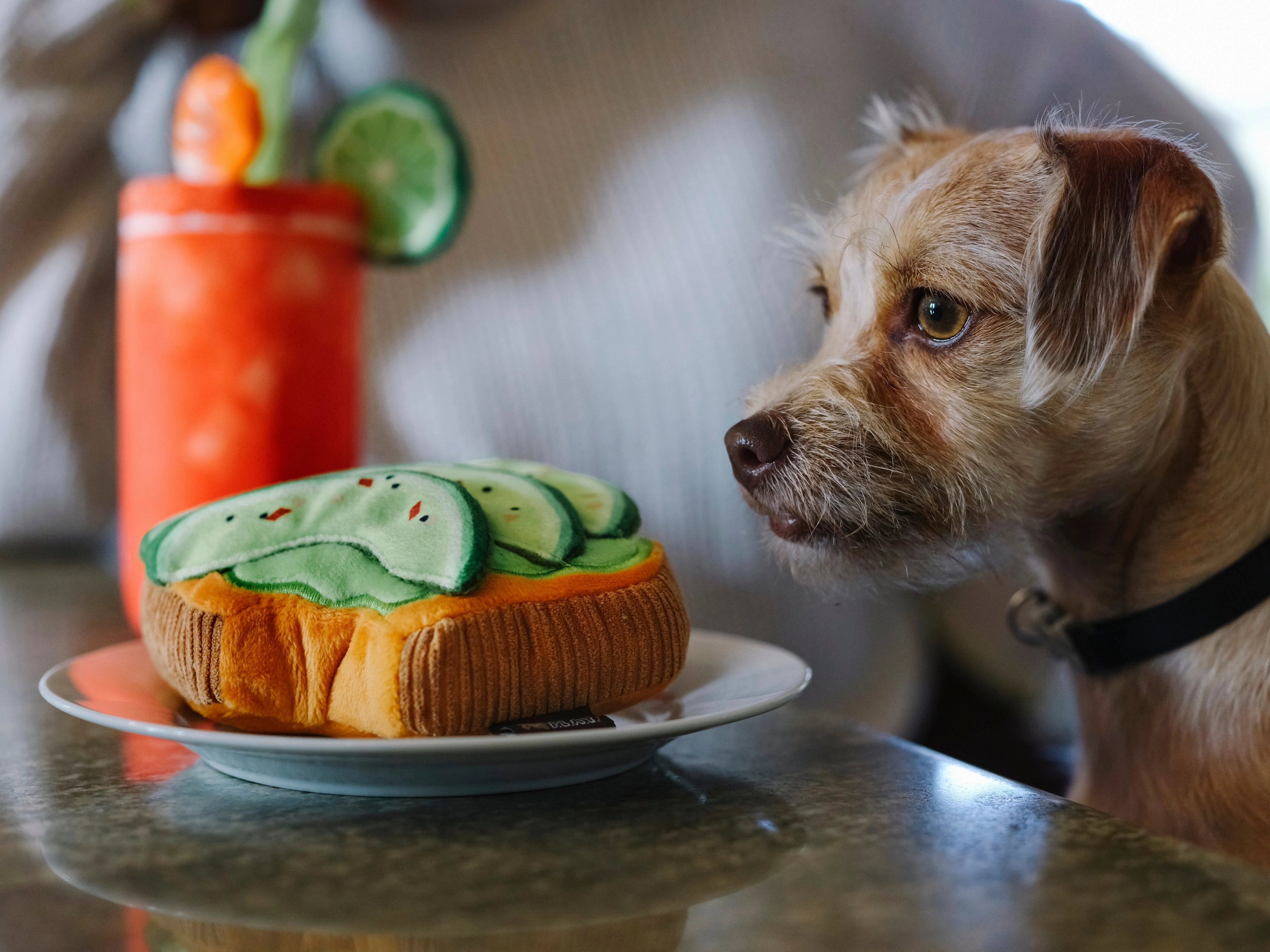 P.L.A.Y. Barking Brunch Plush Dog toys, Avo-doggo Toast
