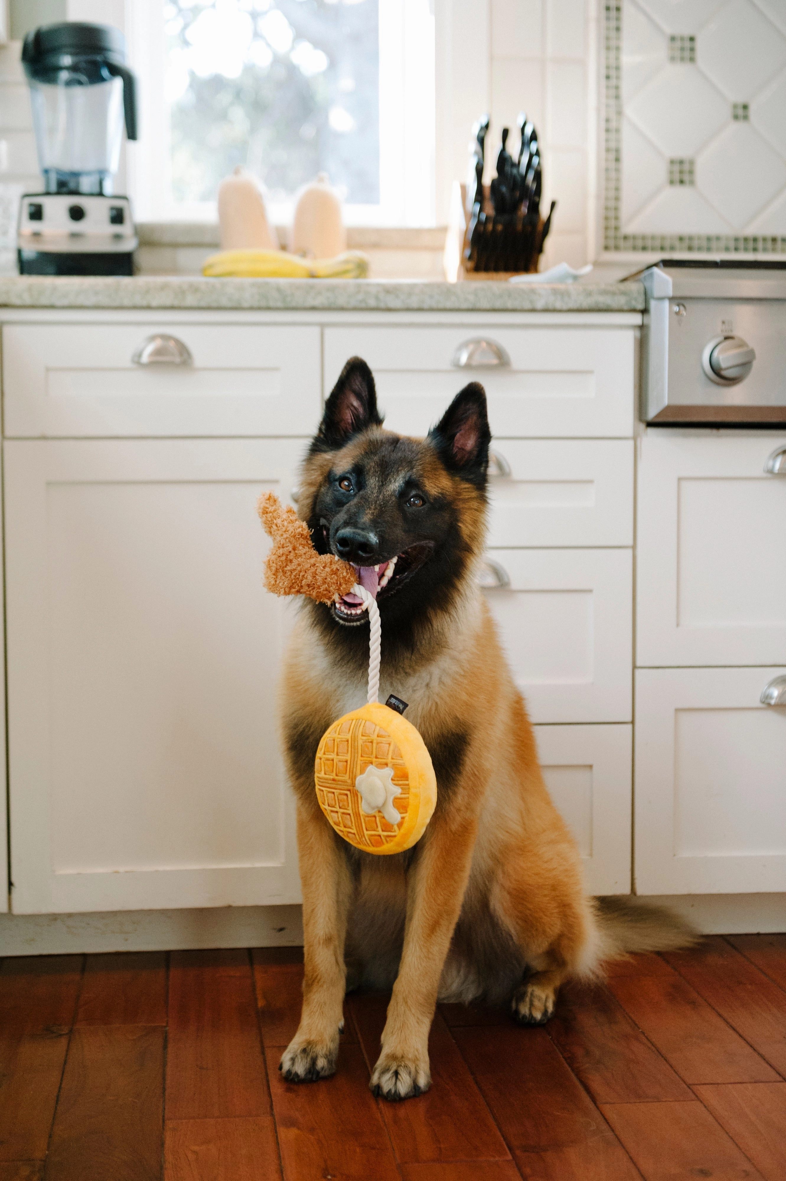P.L.A.Y. Barking Brunch Plush Dog toys, Chicken and Woofles