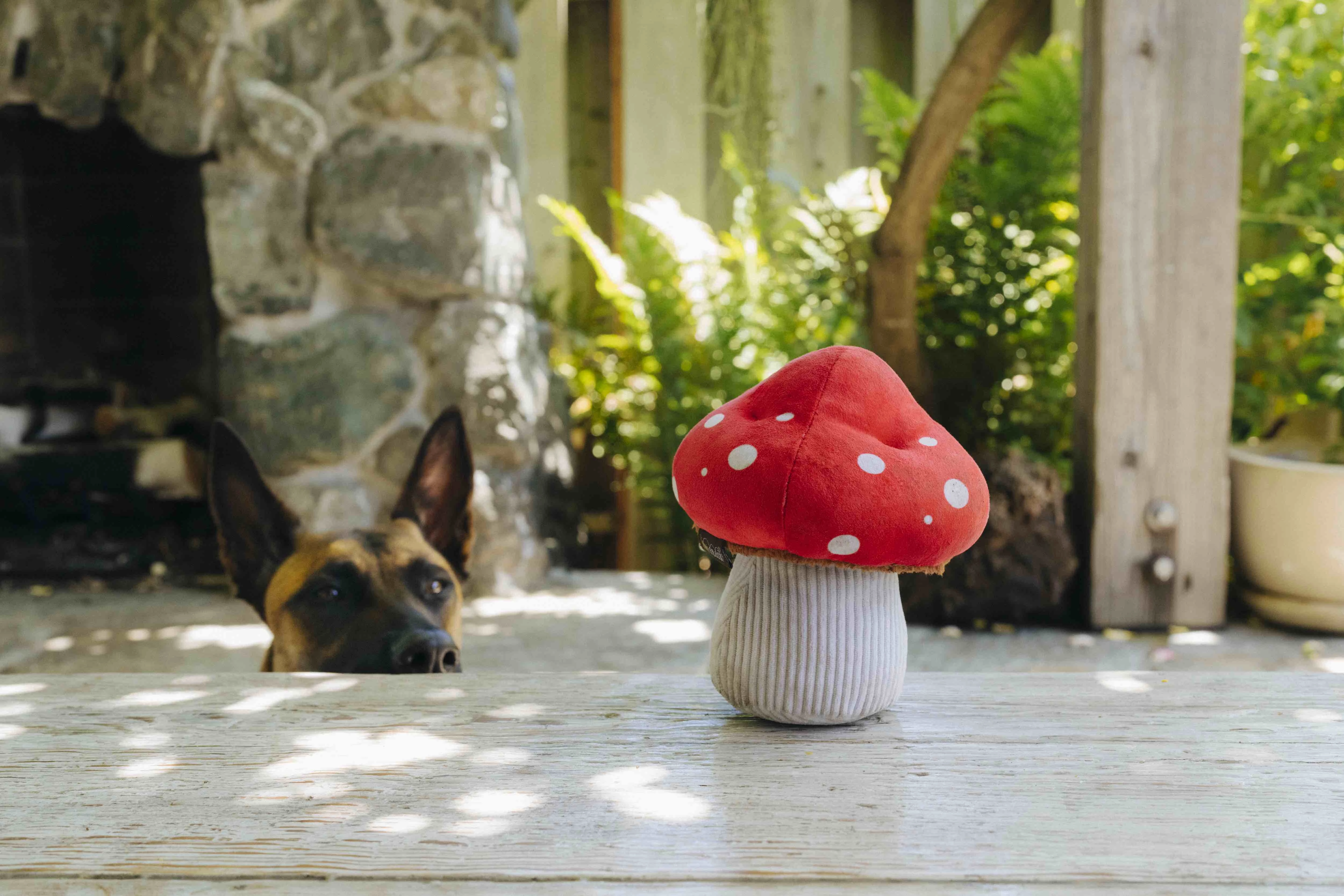 P.L.A.Y. Blooming Buddies Squeaky Plush Dog toys, Mutt's Mushroom