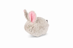 P.L.A.Y. Forest Friends Squeaky Plush Dog toys, Baxter the Bunny