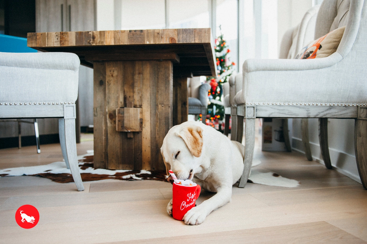 P.L.A.Y. Holiday Classic: Bundle
