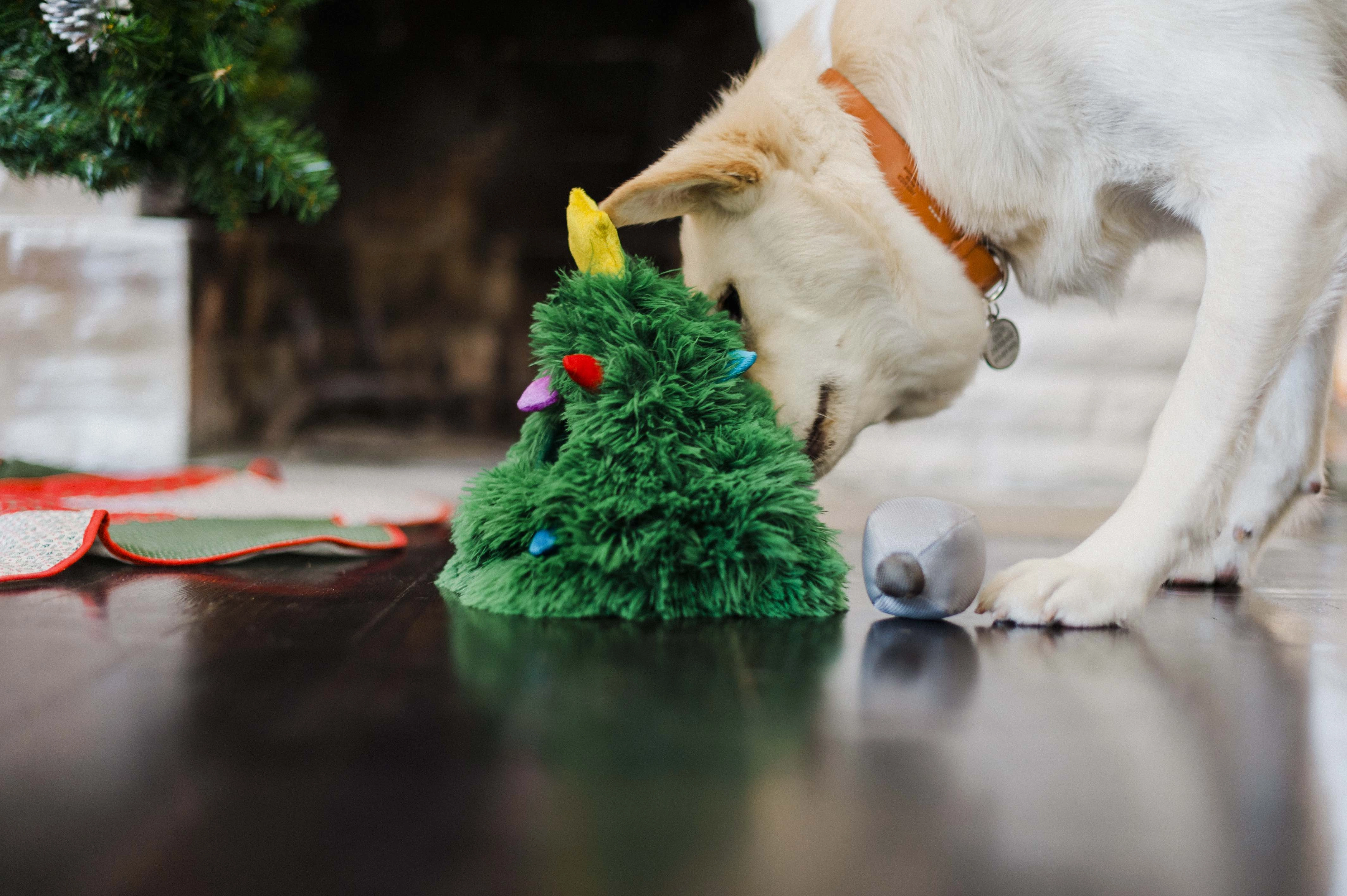 P.L.A.Y. Merry Woofmas Dog Plush toys: Bundle
