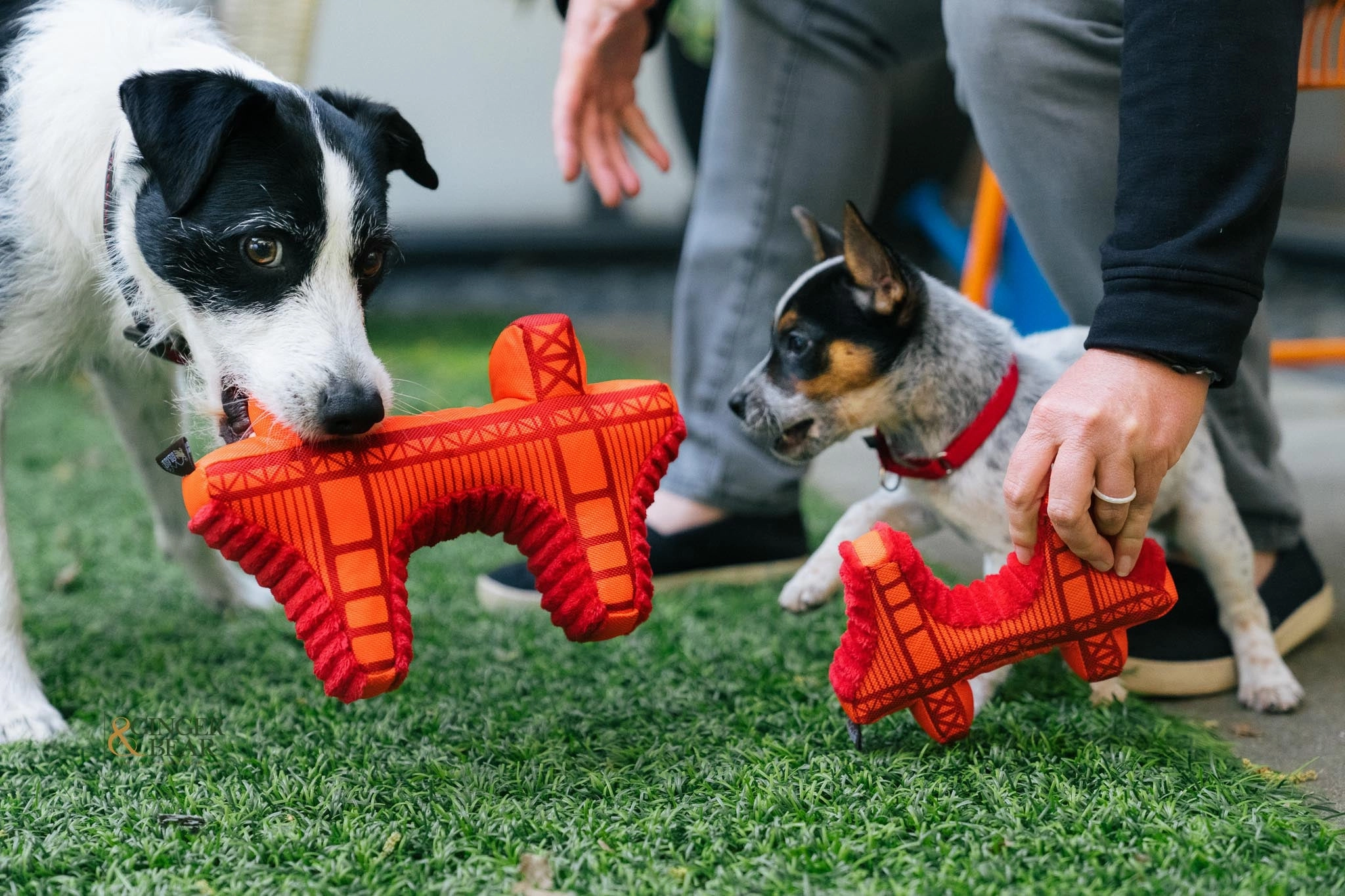 P.L.A.Y. Totally Touristy Squeaky Plush Dog toys, Golden Gate Bridge