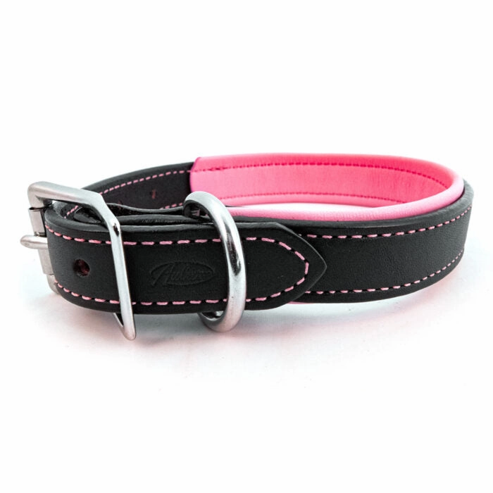 Padded Leather Collar in Many Colors