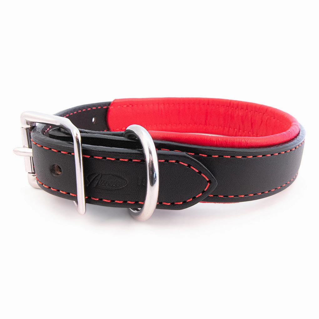 Padded Leather Collar in Many Colors