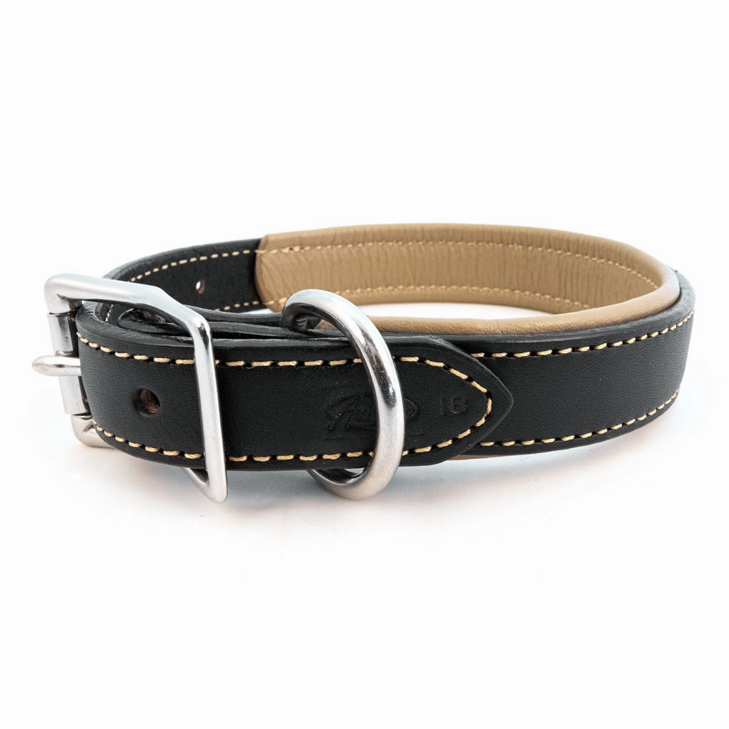 Padded Leather Collar in Many Colors