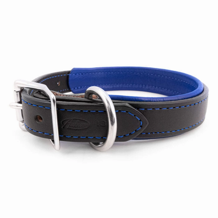 Padded Leather Collar in Many Colors
