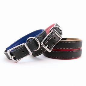 Padded Leather Collar in Many Colors