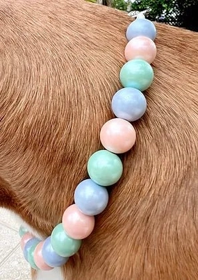 Pastel Glam Pet Collar