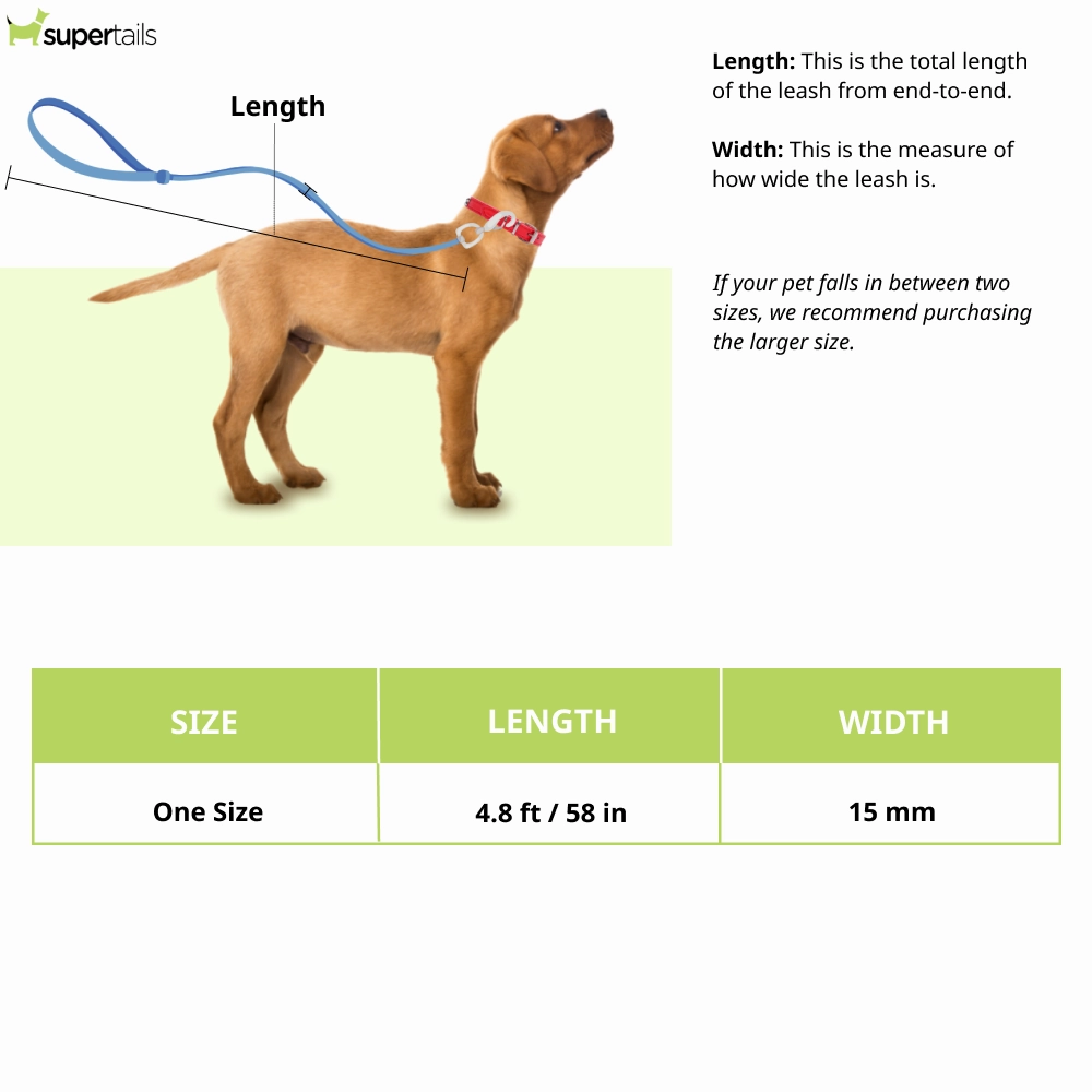 Pawpourri Classic Polyester Rope Leash for Dogs (Blue)