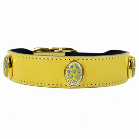Peacock Collection Dog Collar Sunshine Yellow