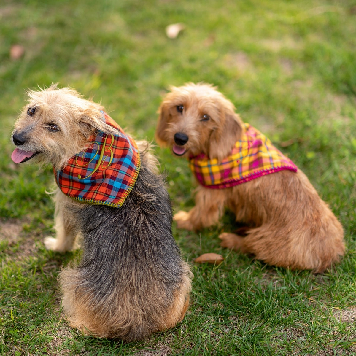 Personalized Dog Bandana Fausta Tartan