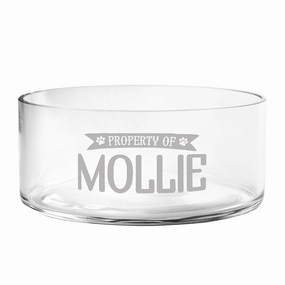 Personalized Property Of Glass Dog Bowl