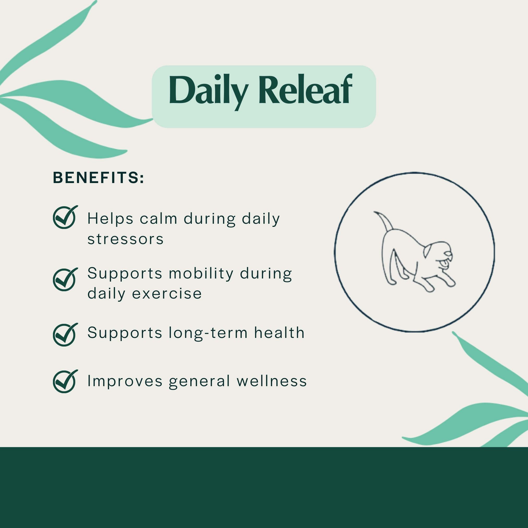 Pet Releaf Daily Releaf 500mg Hemp Oil for Large Dogs