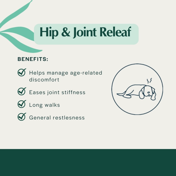 Pet Releaf Hip & Joint Releaf 300mg Hemp Oil for Dogs & Cats
