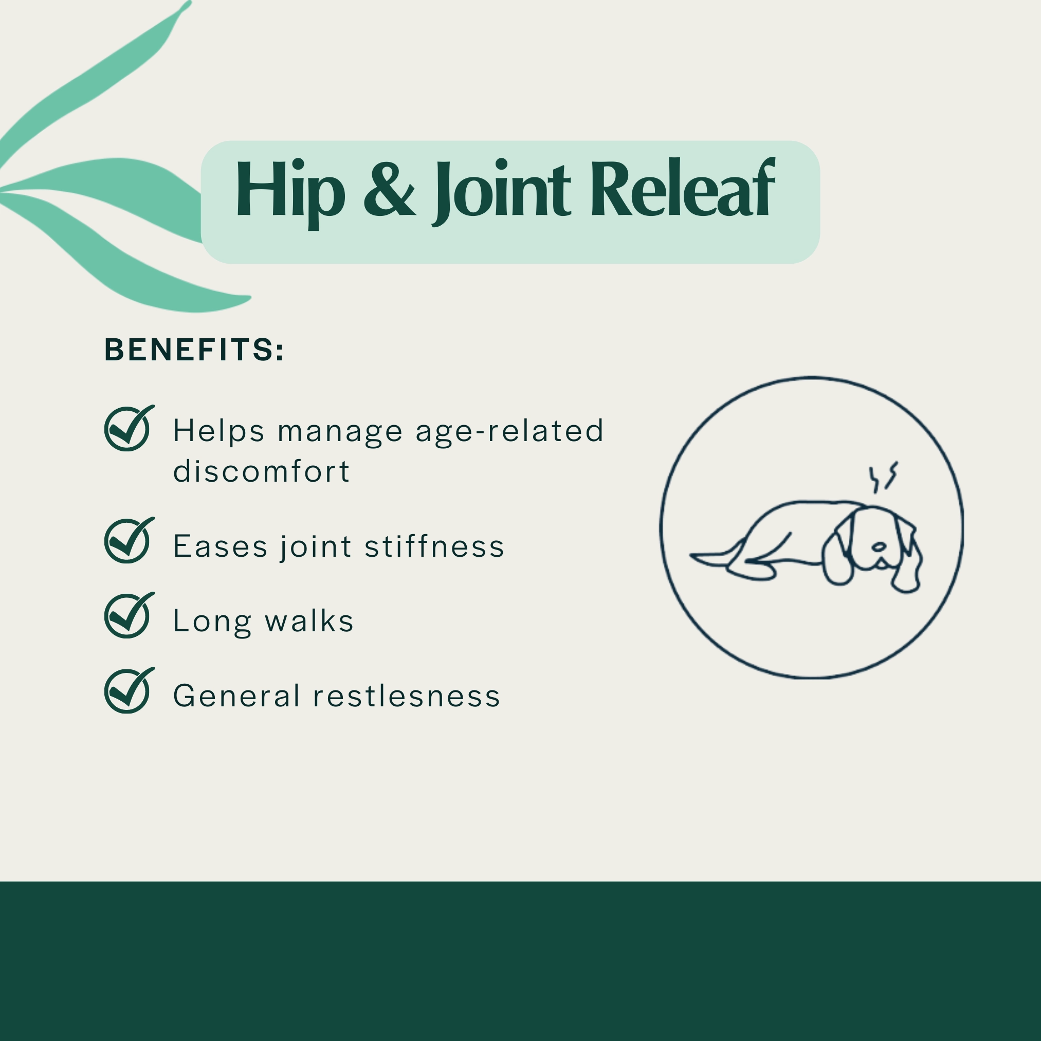 Pet Releaf Hip & Joint Releaf Edibites Peanut Butter & Banana Flavor for Small Dogs
