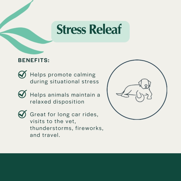 Pet Releaf Stress Releaf Edibites Peppered Bacon Flavor for Small Dogs