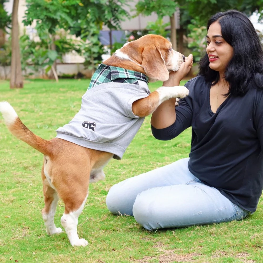 Pet Set Go Polo Knit Tshirt for Dogs (Grey)