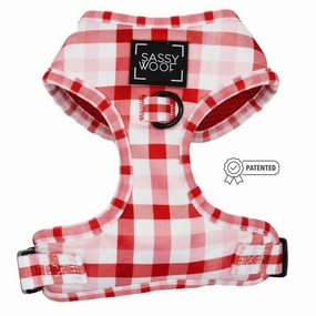 Picnic Fur Two Adjustable Dog Harness