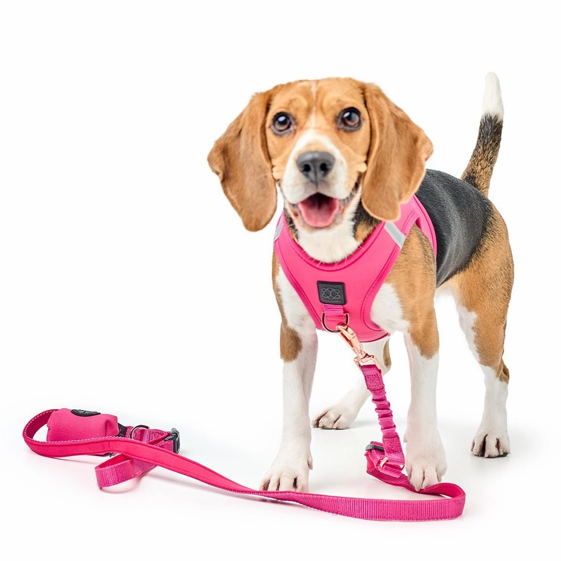 Poop Bag Holder Park Ave Pink