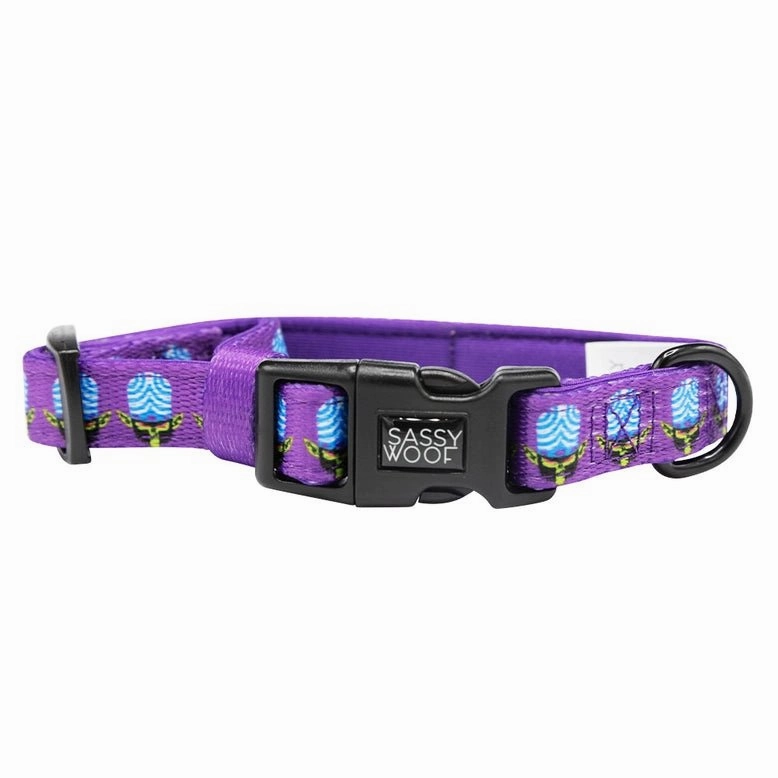 Power Puff Girls Mojo Jojo Collar
