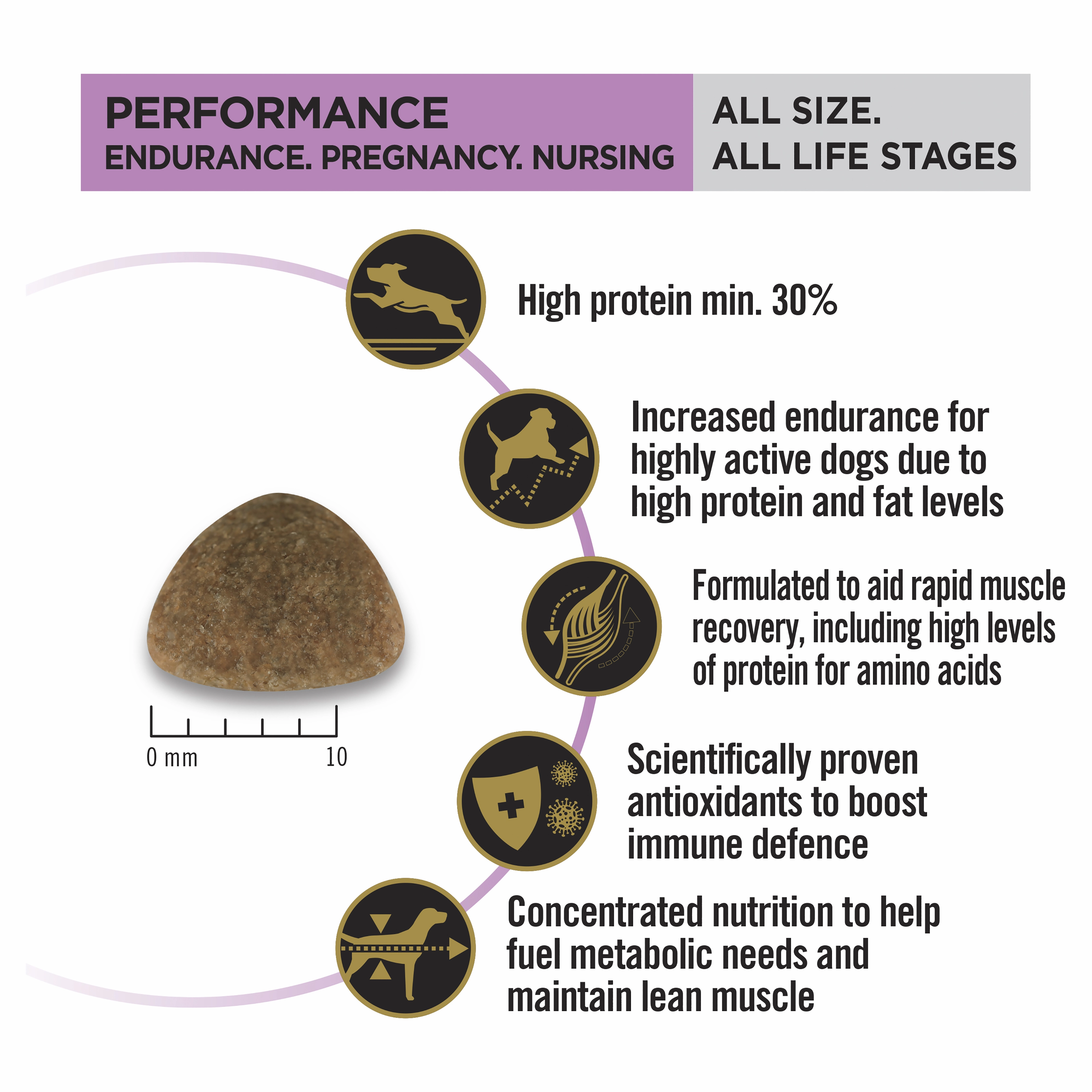 PRO PLAN Adult Performance Chicken Dry Dog Food (20kg)