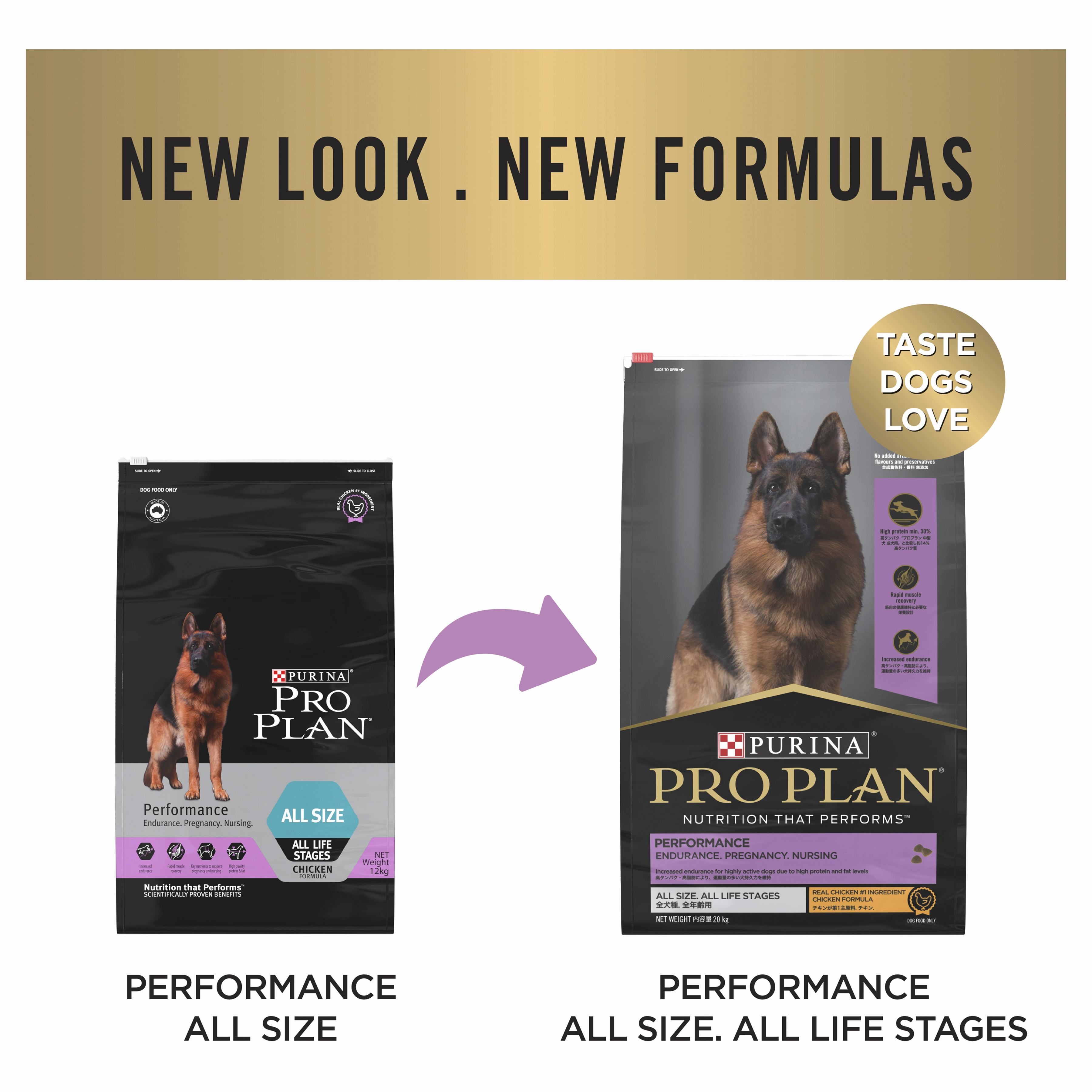 PRO PLAN Adult Performance Chicken Dry Dog Food (20kg)