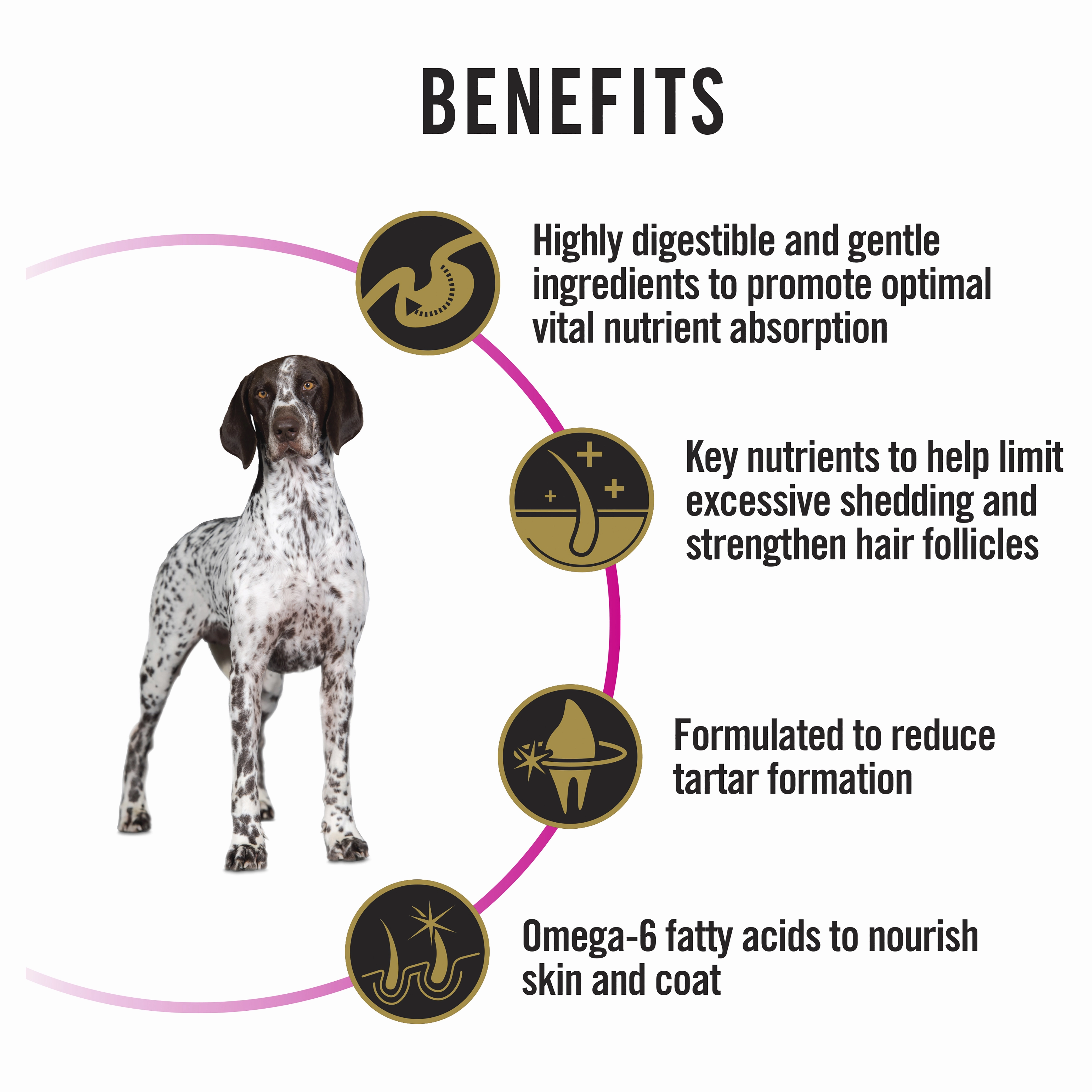 PRO PLAN Adult Sensitive Skin & Stomach Medium & Large Breed Dry Dog Food (12kg)