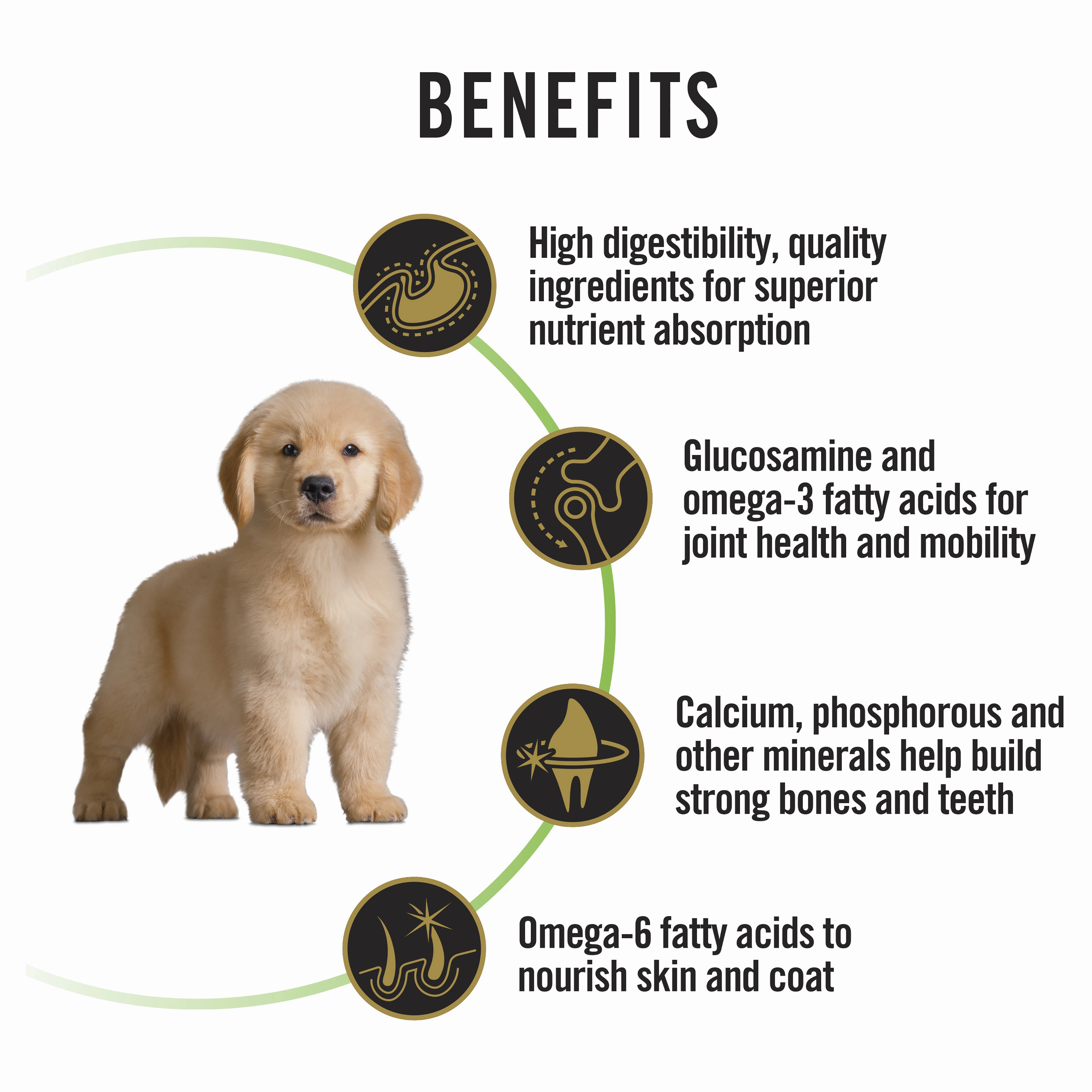 PRO PLAN Puppy Large Breed Chicken Dry Dog Food (15kg)