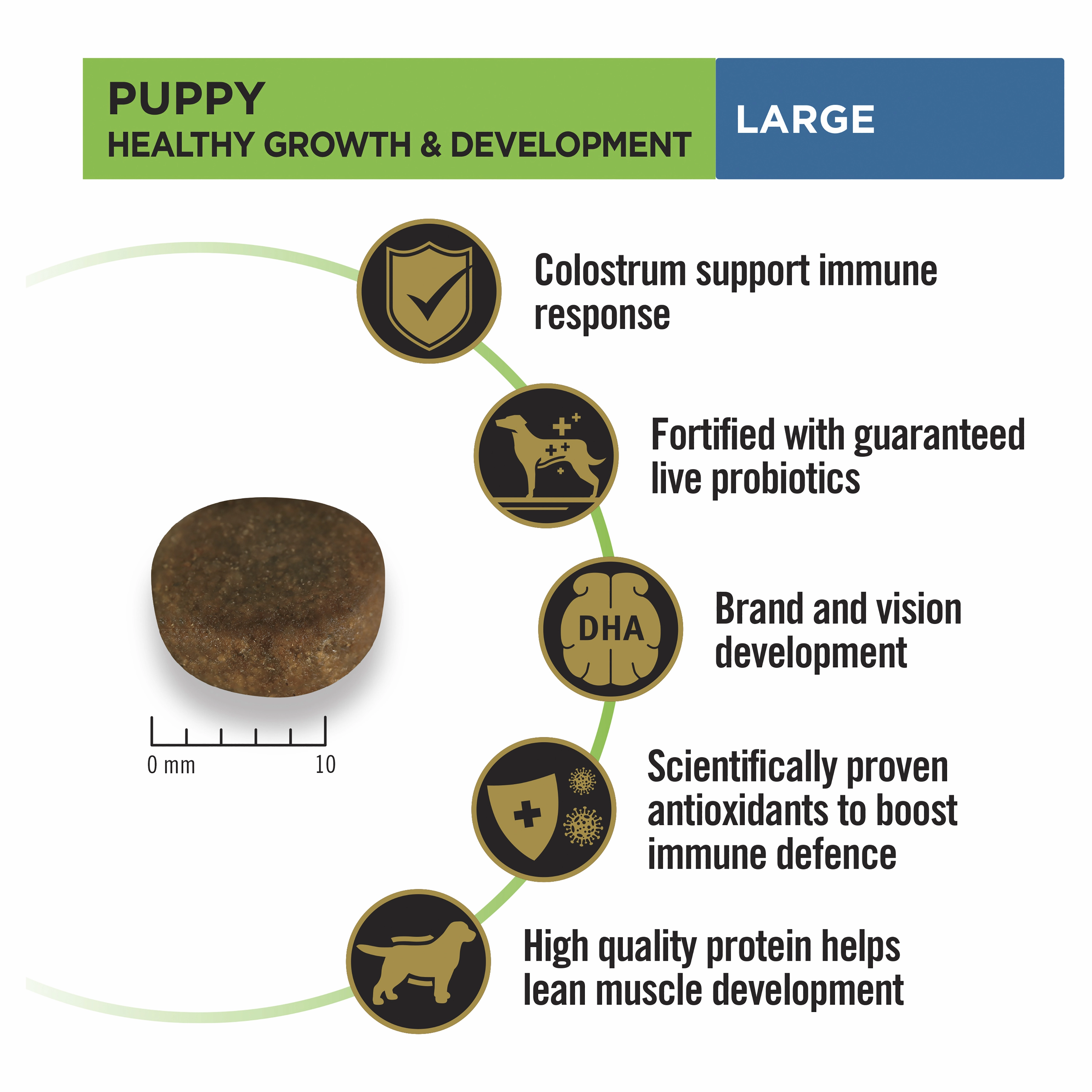 PRO PLAN Puppy Large Breed Chicken Dry Dog Food (3kg)