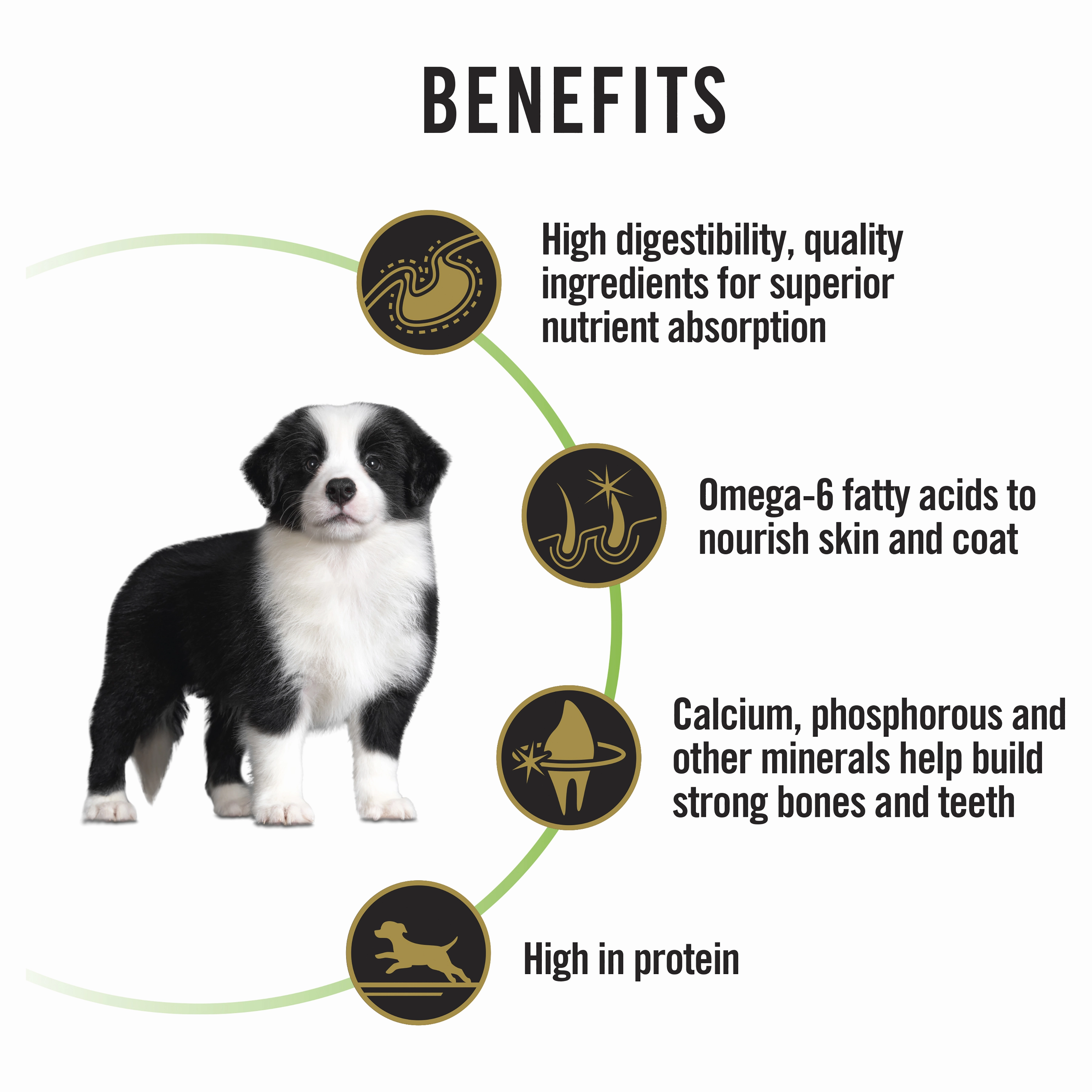 PRO PLAN Puppy Medium Breed Chicken Dry Dog Food (15kg)