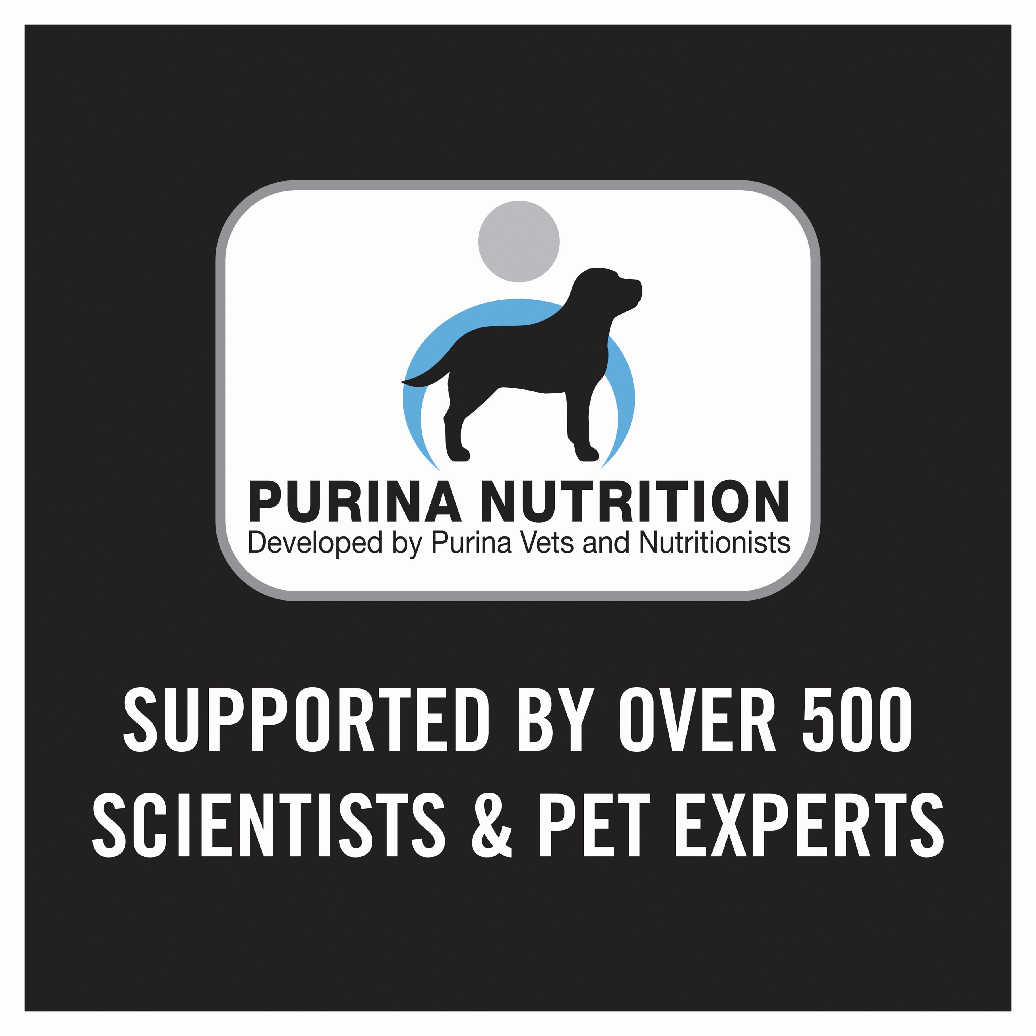 PRO PLAN Puppy Medium Breed Chicken Dry Dog Food (15kg)