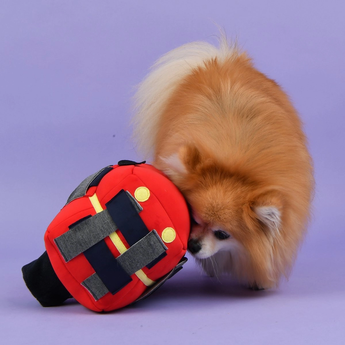 Pup Bus Dog Toy