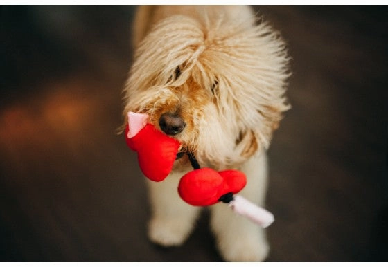 Puppy Love, Dog Squeaky Plush Toys, Fur-ever Hearts