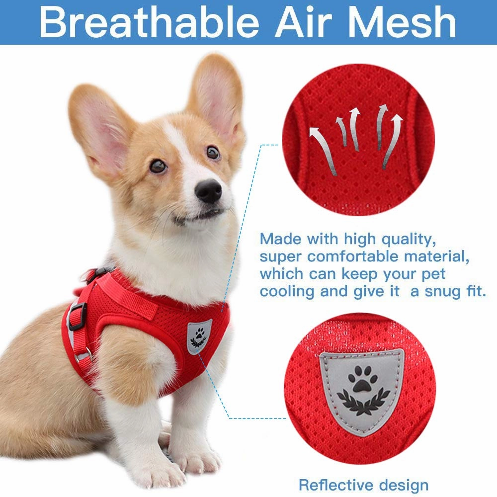 QPets Reflective Mesh Vest Harness with Leash for Dogs and Cats (Red)