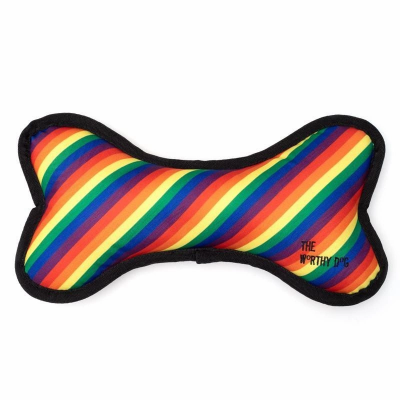 Rainbow Bone Dog Toy