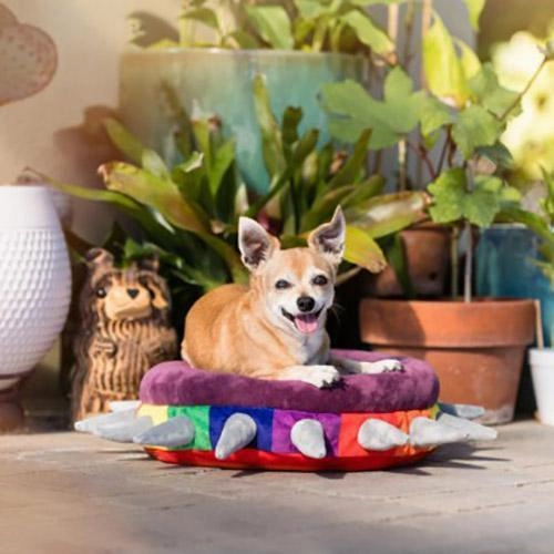 Rainbow Spiked Dog Bed