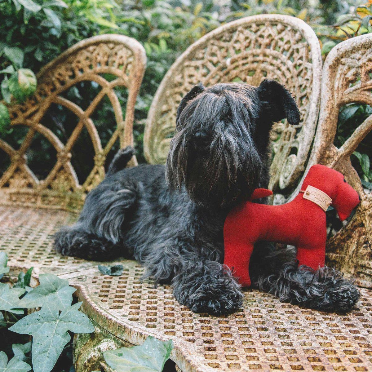 Red And Faustina Dog Toy