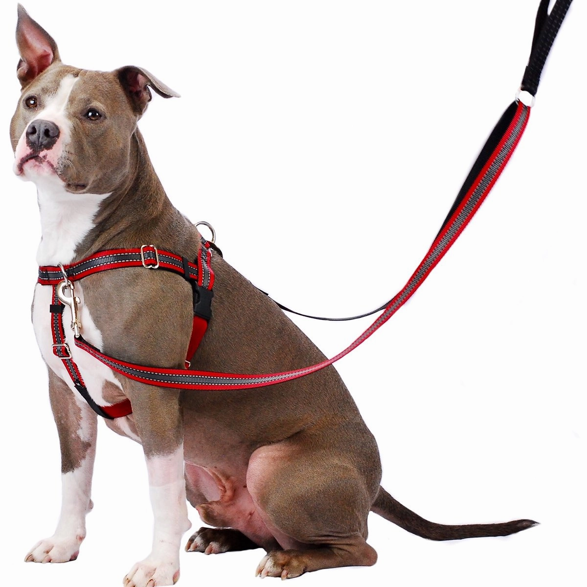 Reflective Red Freedom No-Pull Dog Harness