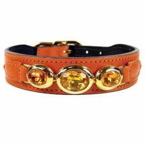 Regency Collection Dog Collar Tangerine