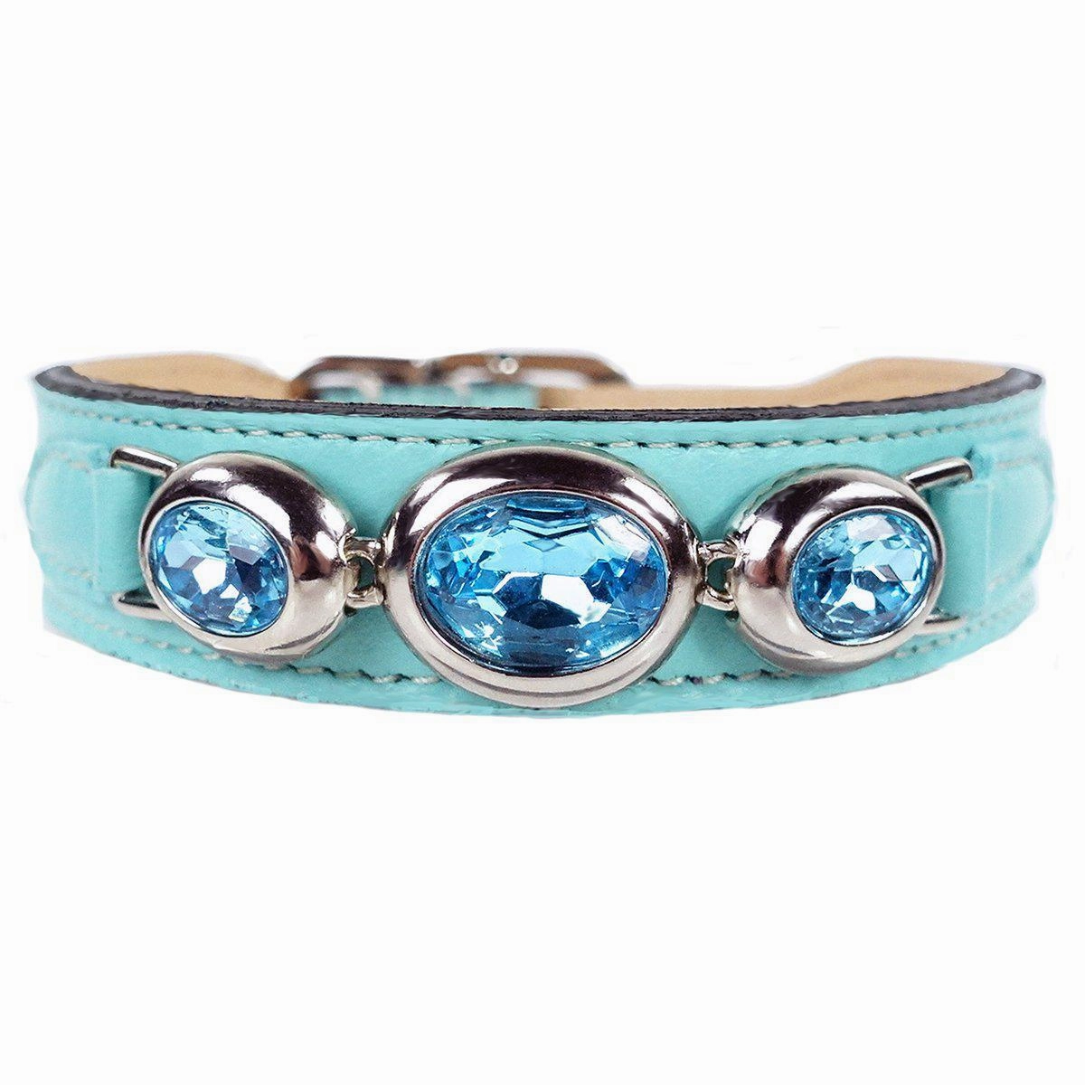 Regency Collection Dog Collar Turquoise