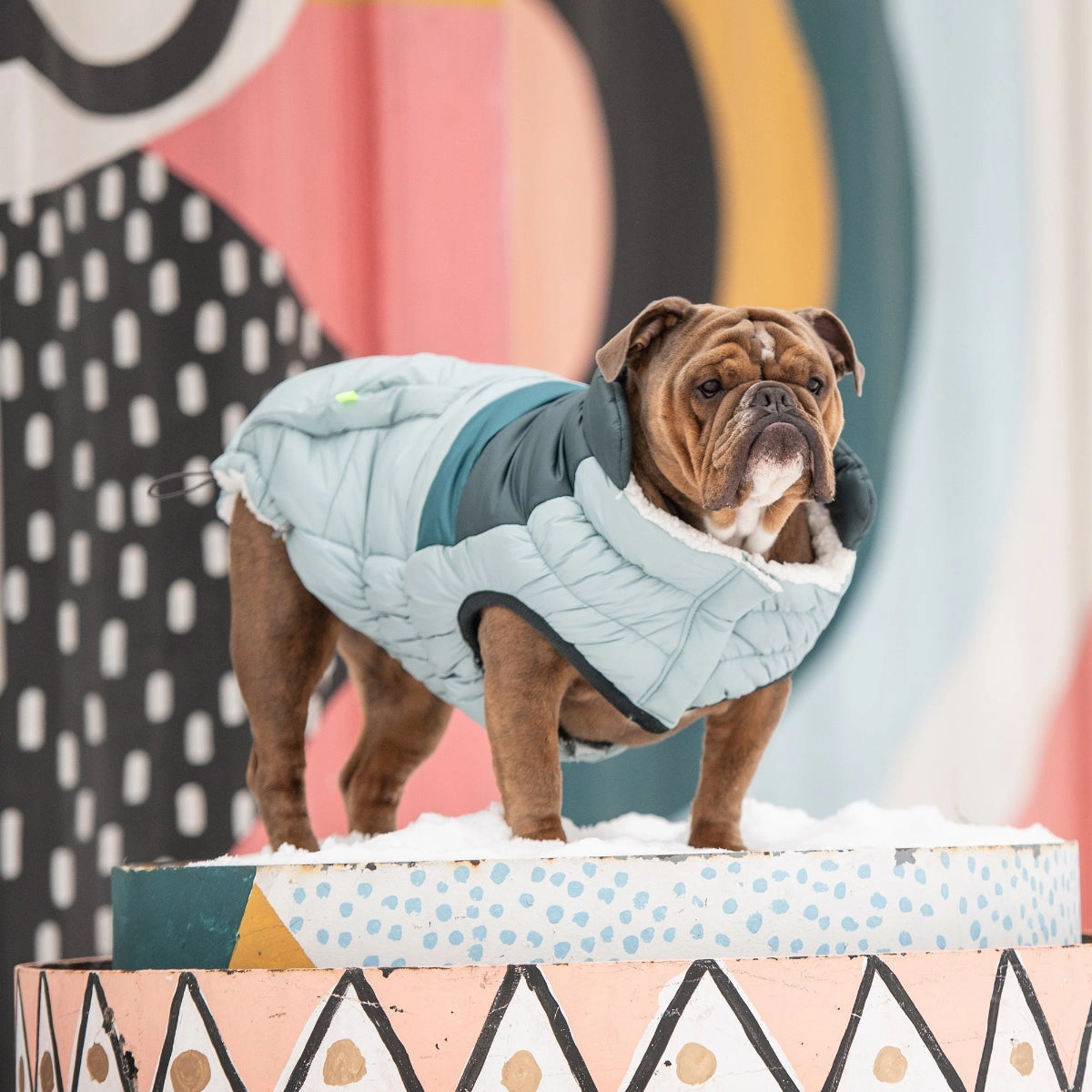 Retro Puffer Dog Jacket Light Blue