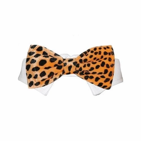 Roberto Dog Bow Tie Collar Orange