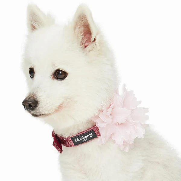 Rosey Red Glitter Collar with Flower