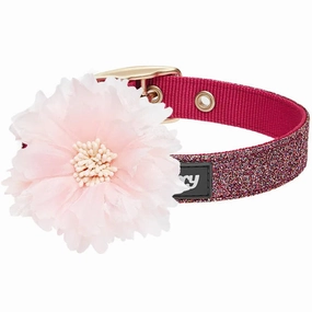 Rosey Red Glitter Collar with Flower